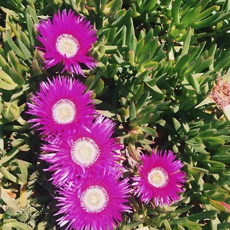 Diga Casa de hóspedes 3*